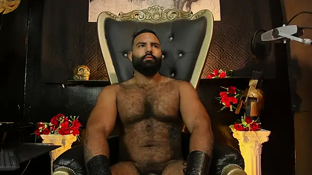 Chat XXX ao vivo de BeardAndrew