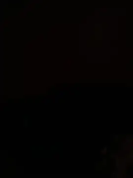 Show webcam de Cnutt310