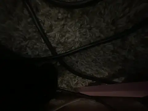 XXX chat uživo modela angelthegodis
