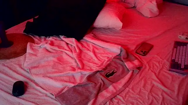 HerouxHeroのウェブカメラショー