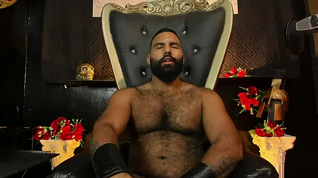 BeardAndrew লাইভ XXX চ্যাট