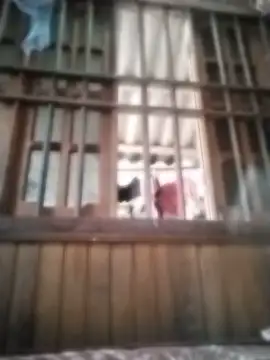 XXX chat uživo modela Jany-xx