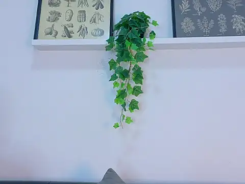TylerWest_'s Live XXX Chat