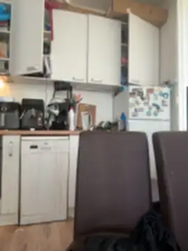 kotkite Live XXX-Chat