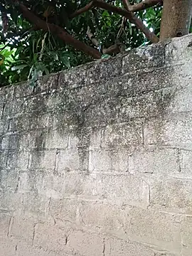 XXX chat uživo modela mya_xxx