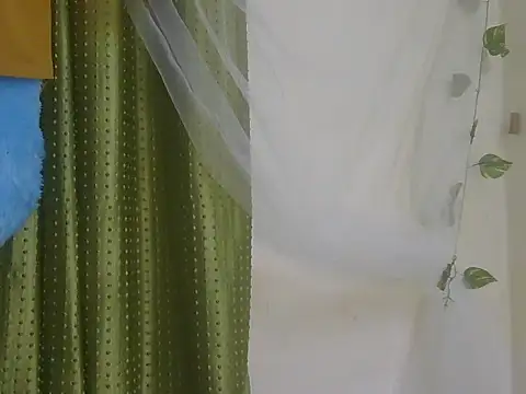 Stubborndesiboy Pertunjukan Webcam