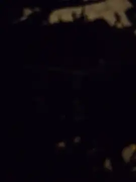 MrStreetGuy Chat XXX live