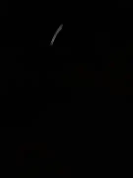 pandaMontanan Webbikameraesitys
