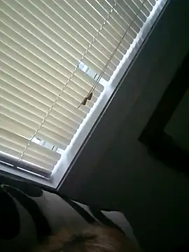 Chat +18 de JemJensen30 ao vivo