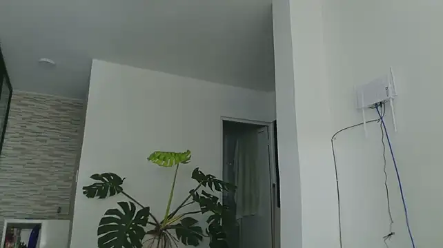 grey___27 লাইভ XXX চ্যাট
