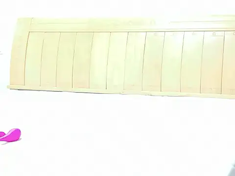 Xiaoya1024 - 塞小粉振5分钟