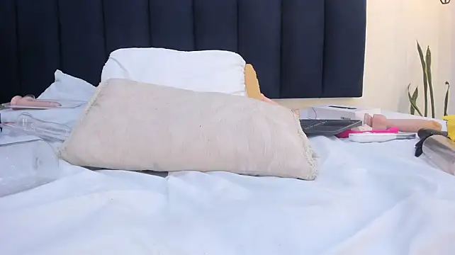 Mayaevansmg