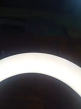SlBrownCopulen Webbikameraesitys