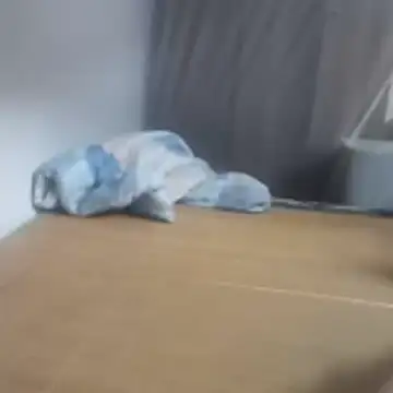 jiaogepengyouzai Live XXX-Chat