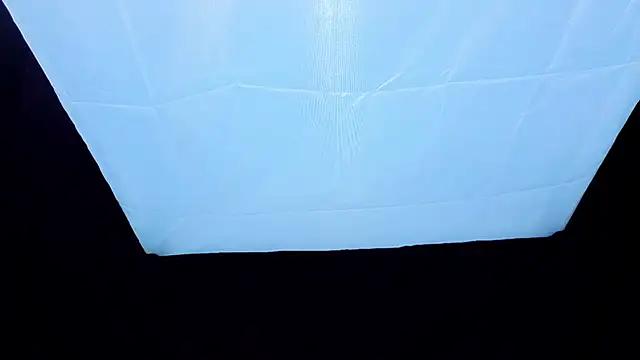 PerryKitty Live XXX-Chat