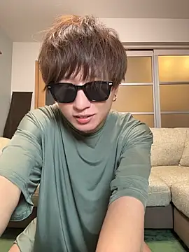 JPTopModelのウェブカメラショー