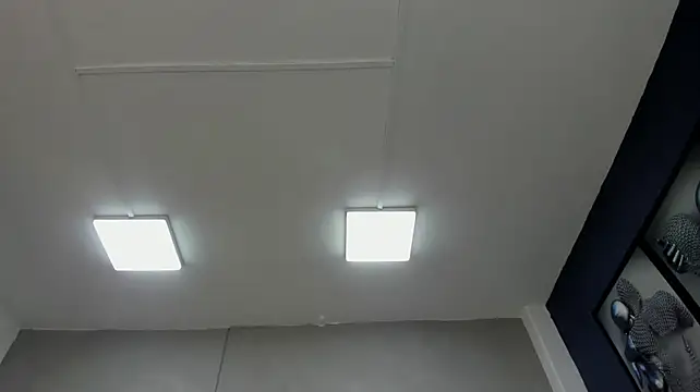 Charlie___Musk Obrolan Langsung XXX