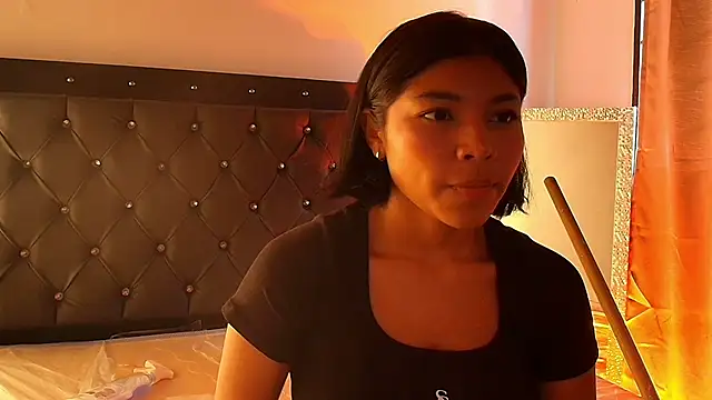 Ari_stone