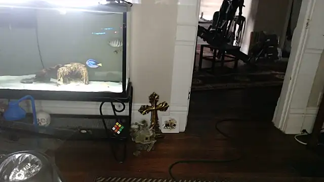 EspanolVato's Webcam Show