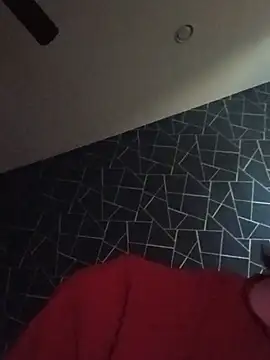 Tylow webkamerás műsora