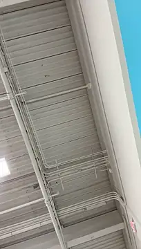 Graysontaylor@xh XXX чат на живо
