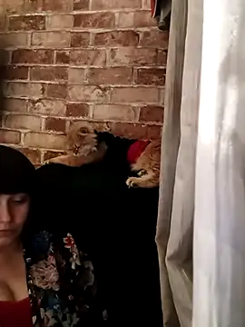 Živý XXX chat iforyouhere