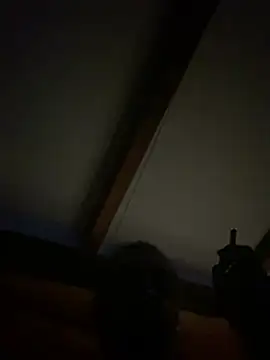 MonKeeees 网络视讯表演