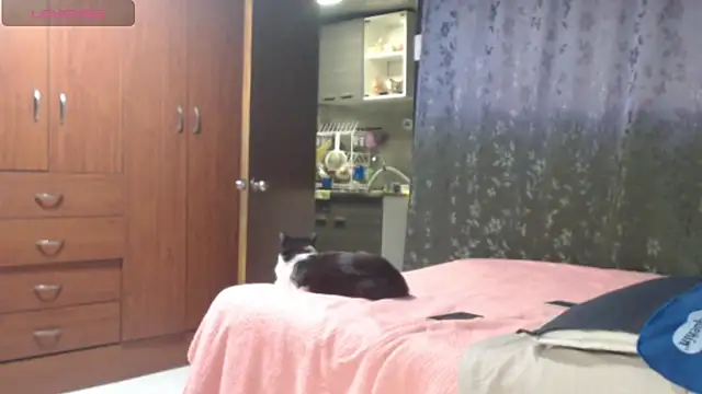 miia-big1boobs_ Chat XXX live