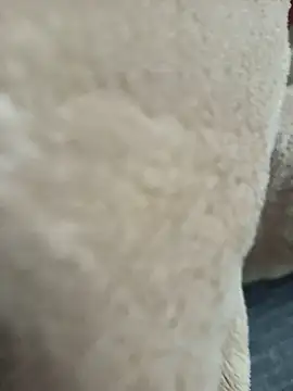 عرض كام Puzzlingagent97
