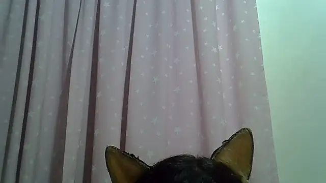 Show de webcam de SkinnyKitten