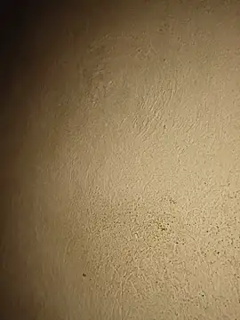 Giselabrunette25 现场XXX聊天