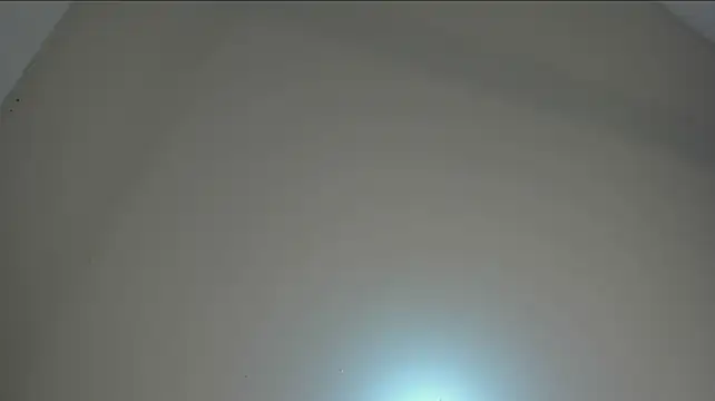 ValerySilva 即時 XXX 聊天