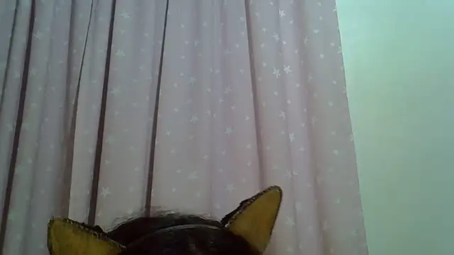 Show de webcam de SkinnyKitten