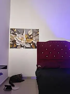Chat +18 de vanesa_gomez ao vivo