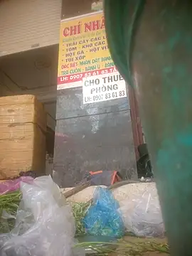 traiwe06 라이브 XXX 채팅