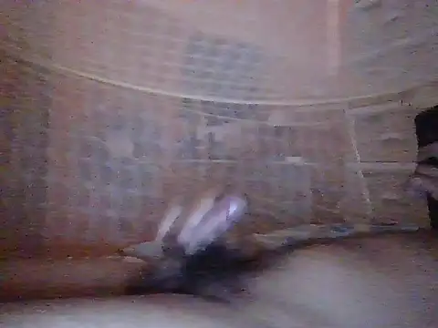 Show de tupapi3eye na webcam