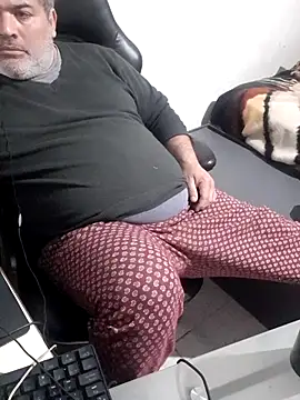 12Paradarte Webcam-Show
