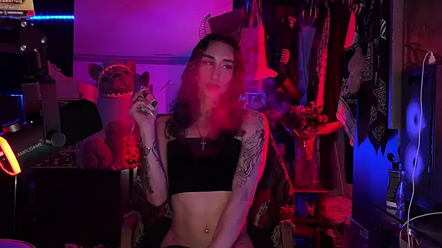 xoFrankie 现场XXX聊天