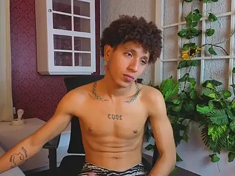 Chat +18 de ArisStonne ao vivo