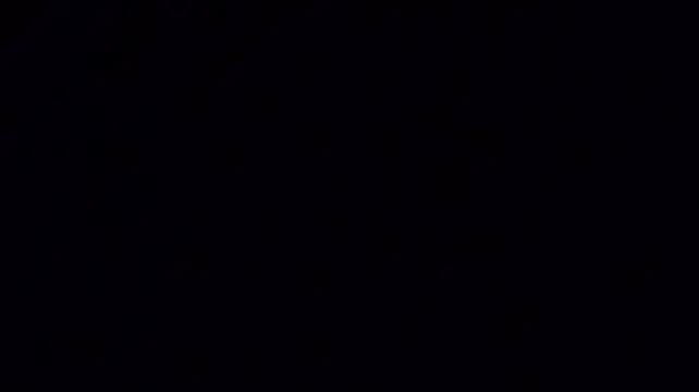 Kellygrace_vg