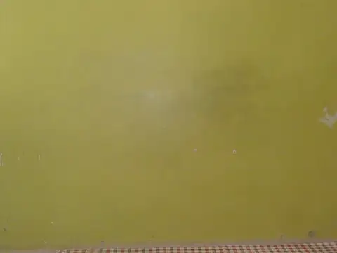 Živý XXX chat Stubborndesiboy