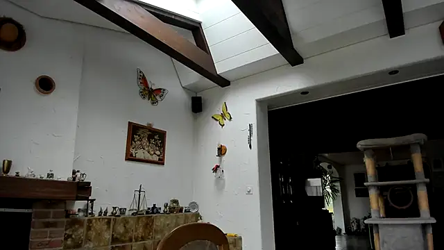 roku73Gay Webcam-Show