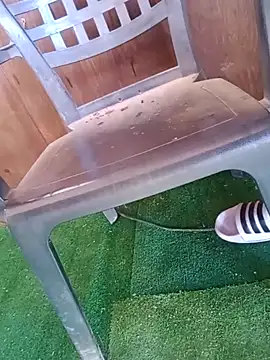 91019n Webbikameraesitys