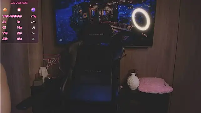 Webkamerová show midzukimitzi