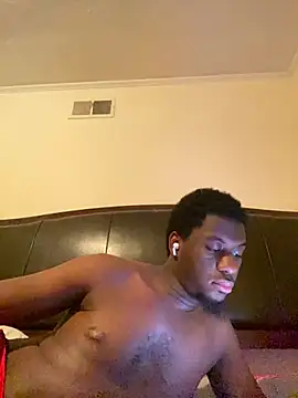 ThickDic28 Webcam show