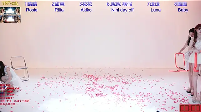 TNT-cdcのライブXXXチャット