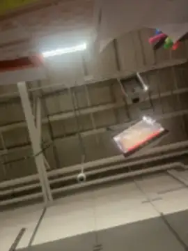 Chat XXX Live ReallyReallyReal