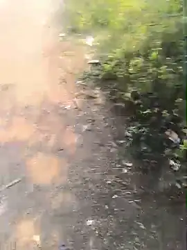 Pune_guy_cillab élő XXX-chatje
