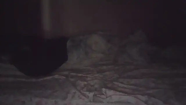 joaopimto0 XXX чат на живо