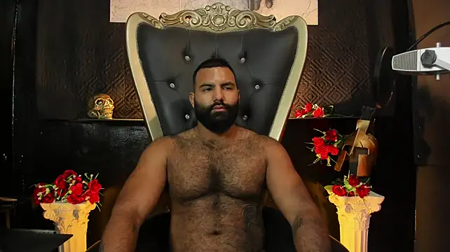 Онлайн чат XXX BeardAndrew
